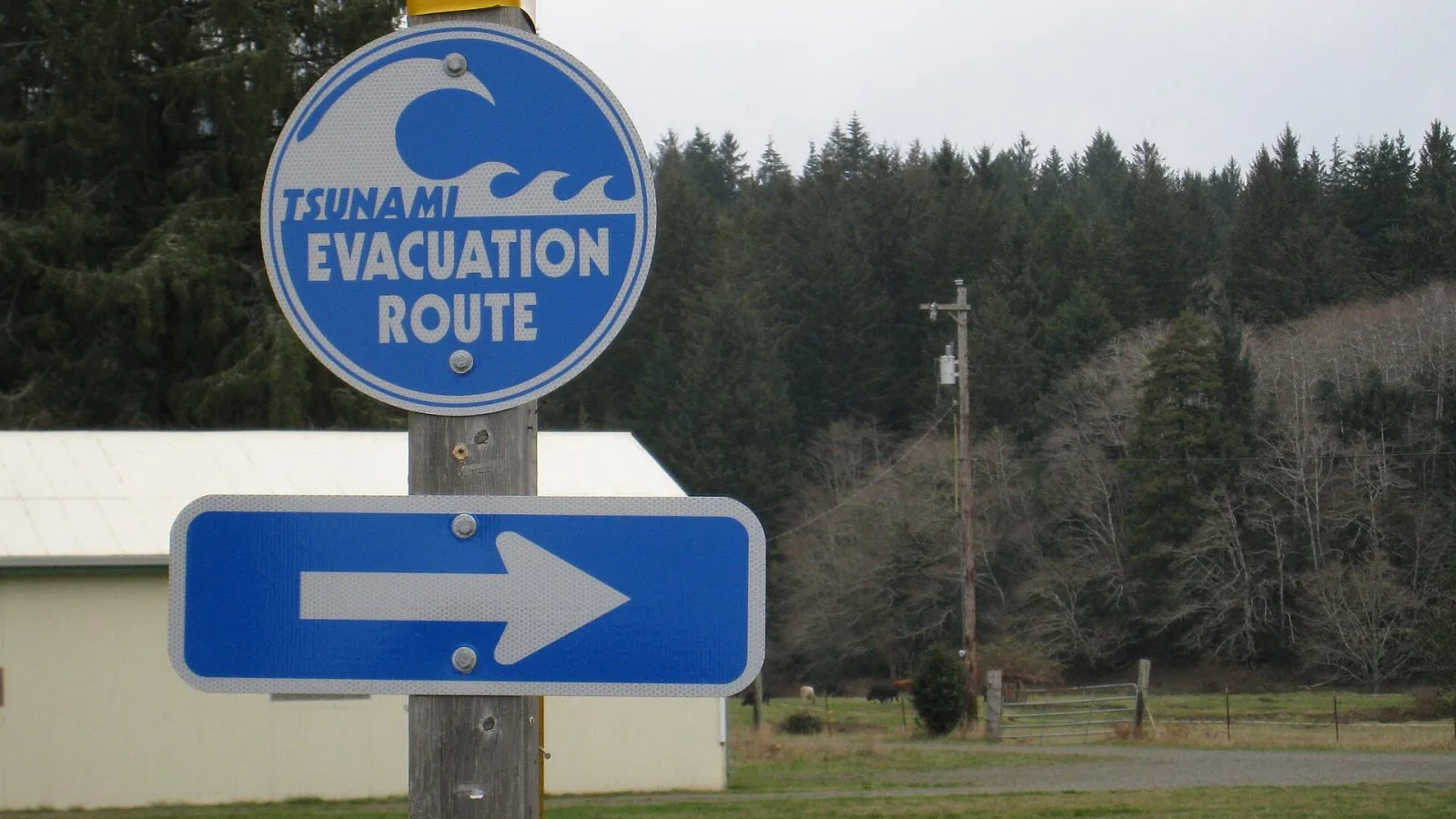 Tsunami evacuation route sign